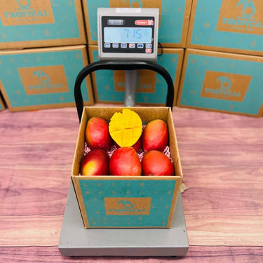 The Palmer Mango Box Tropical Fruit Box